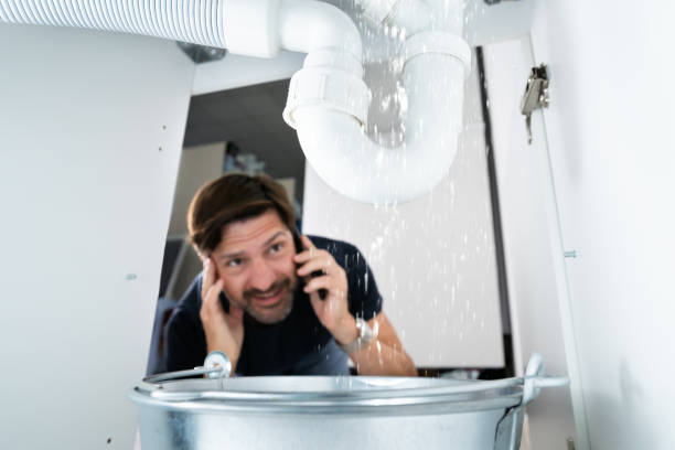 Best Toilet Repair Services  in Roland, AR